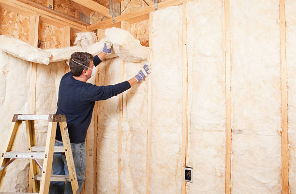 Best Garage Insulation  in Bluefield, VA